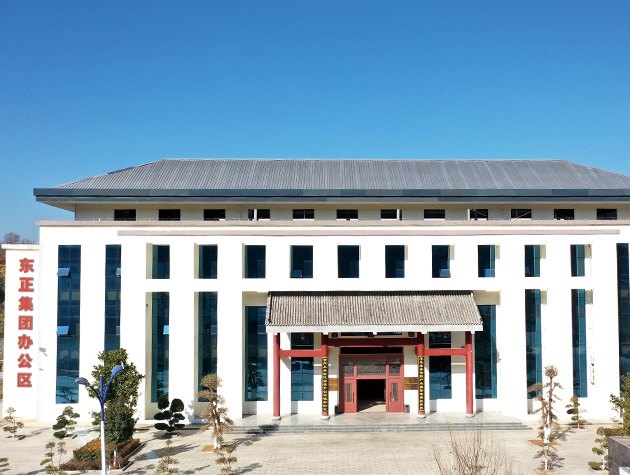 东正化工集团