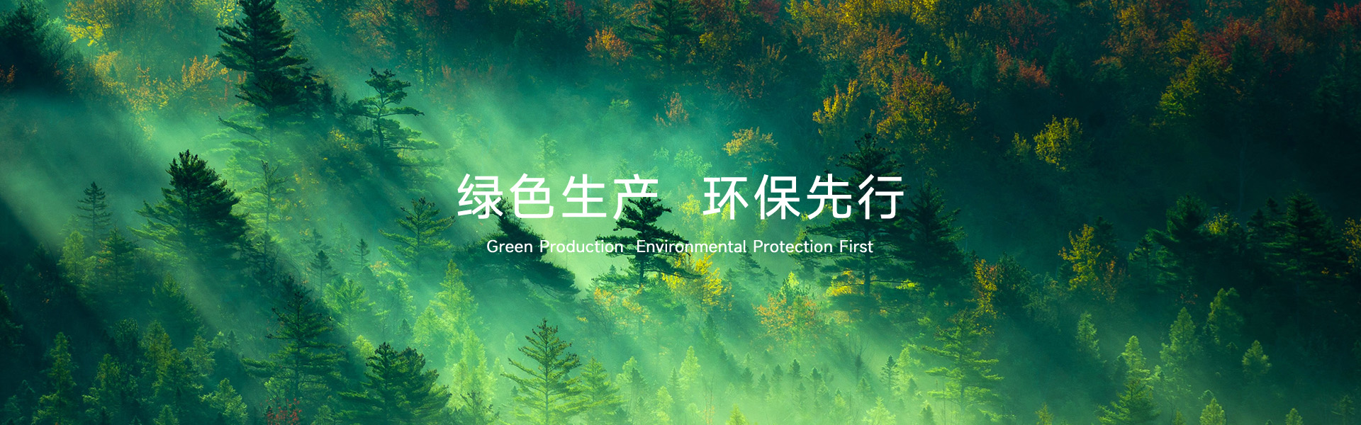 东正化工集团